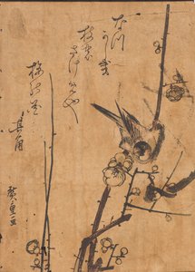 Undersøgelse af fugl, der sidder på gren af Ando or Utagawa Hiroshige
