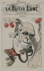 Darwin som abe på La Petite Lune af Andre Gill