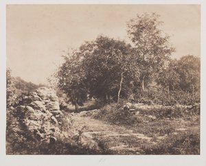 Uden titel (Scene af Fontainebleau)
