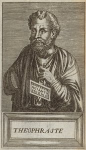 Theophrastus af Andre Thevet