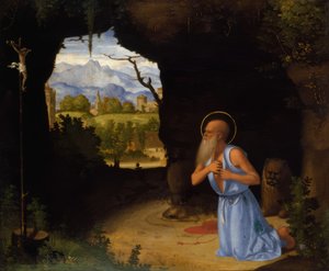 Sankt Jerome af Andrea Previtali