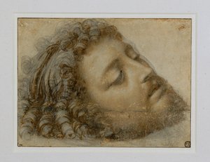Hovedet af Sankt Johannes Døberen ... af Andrea Solario
