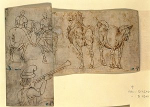 Inv nr.38 recto Skitse af heste, ca. 1460-70 (pen og blæk) af Andrea Verrocchio
