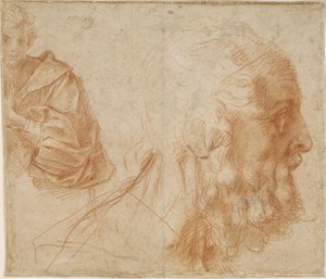 En ung og hovedet af en gammel mand Homer. Studie, ca 1521 af Andrea del Sarto