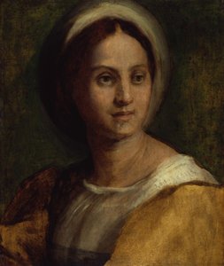  af Andrea del Sarto