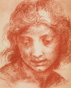 Drenge hoved af Andrea del Sarto