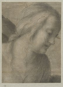 Hoved af Mary, i en tilbedelse af Andrea del Sarto
