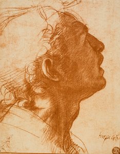 Mandligt Hoved af Andrea del Sarto