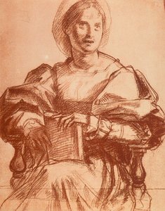 Portræt af Lucrezia del Fede af Andrea del Sarto