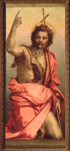 Johannes Døberen, St. Agnes altertavle (maleri, 1525-1528) af Andrea del Sarto