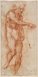 Saint John the Baptist Study, ca 1518 af Andrea del Sarto