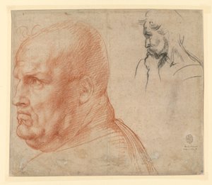  af Andrea del Sarto