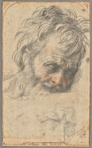 Studie til Sankt Josefs hoved (recto); to studier af ben (verso) af Andrea del Sarto