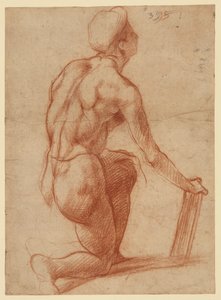  af Andrea del Sarto