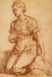 Undersøgelse af en kvinde; tegning af Andrea del Sarto. Kabinet for tegninger og tryk, Uffizi Gallery, Firenze af Andrea del Sarto
