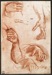 "Studie af hænder" tegnekul (charcoal) af Andrea del Sarto