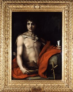 Ukendt billede af Andrea del Sarto