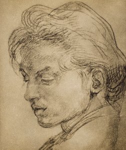 Virilt hoved i profil af Andrea del Sarto