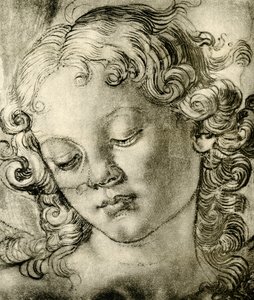 Englehoved af Andrea del Verrocchio