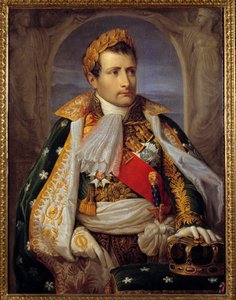 Portrait of Napoleon Bonaparte Dani