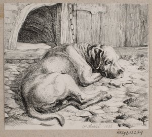 En sovende lænkehund
