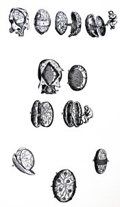 Pladerne fra den femte bog i De Humani Corporis Fabrica af Andreas Vesalius