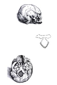 Pladerne fra den første bog af De Humani Corporis Fabrica af Andreas Vesalius
