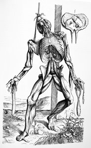 Pladerne fra anden bog af De Humani Corporis Fabrica