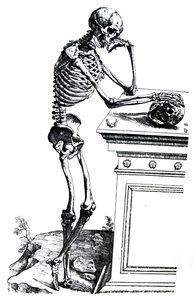 Pladerne fra den syvende bog i De Humani Corporis Fabrica af Andreas Vesalius