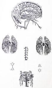 Pladerne fra den tredje bog af De Humani Corporis Fabrica af Andreas Vesalius