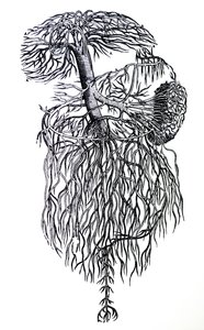 Pladerne fra den tredje bog af De Humani Corporis Fabrica af Andreas Vesalius