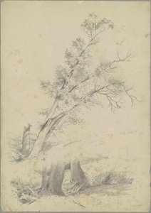 Træer, Hudson