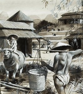 Landbrug i Kina (gouache på papir) af Andrew Howat