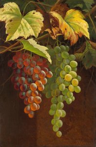 Two Bunches of Grapes, n.d. (olie på lærred) af Andrew John Henry Way