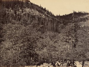 Billede 19. Blandt tømmeret ved begyndelsen af Little Laramie River,1869 (foto) af Andrew Joseph Russell
