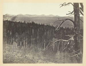 Sne- og tømmerlinje, Medicine Bow Mountain af Andrew Joseph Russell