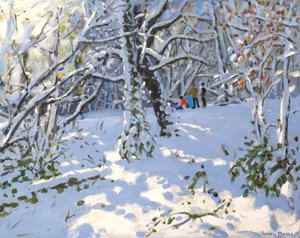 Juleslædekørsel i Allestree Woods,16x20,2013