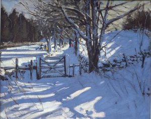 Port nær Youlgreave, Derbyshire af Andrew Macara