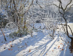Rimfrost, 2011 af Andrew Macara