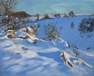 Sledgers, Derbyshire, 2011 af Andrew Macara