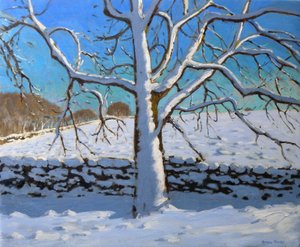 Snow Covered Tree, 2011 (olie på lærred) af Andrew Macara