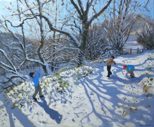 Sneboldkamp, 2007 af Andrew Macara