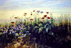 Vilde blomster (akvarel på papir)