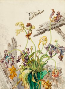 Tulipaner af Andrey Avinoff