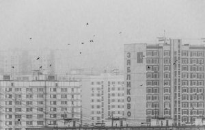 Monokrome byfugle af Andrey Kotov