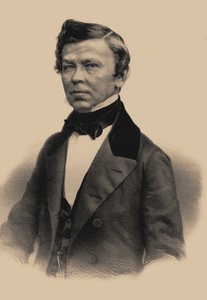 Portræt af digteren Vladimir Grigorievich Benediktov 1807-1873, 1870