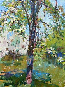 Solrige forårsblomster