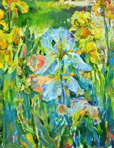 Farverig iris-have af Andrii Kutsachenko
