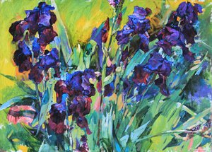Levende lilla iris