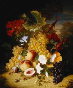 Fersken, druer, en melon, kramper og andre blomster i et landskab,